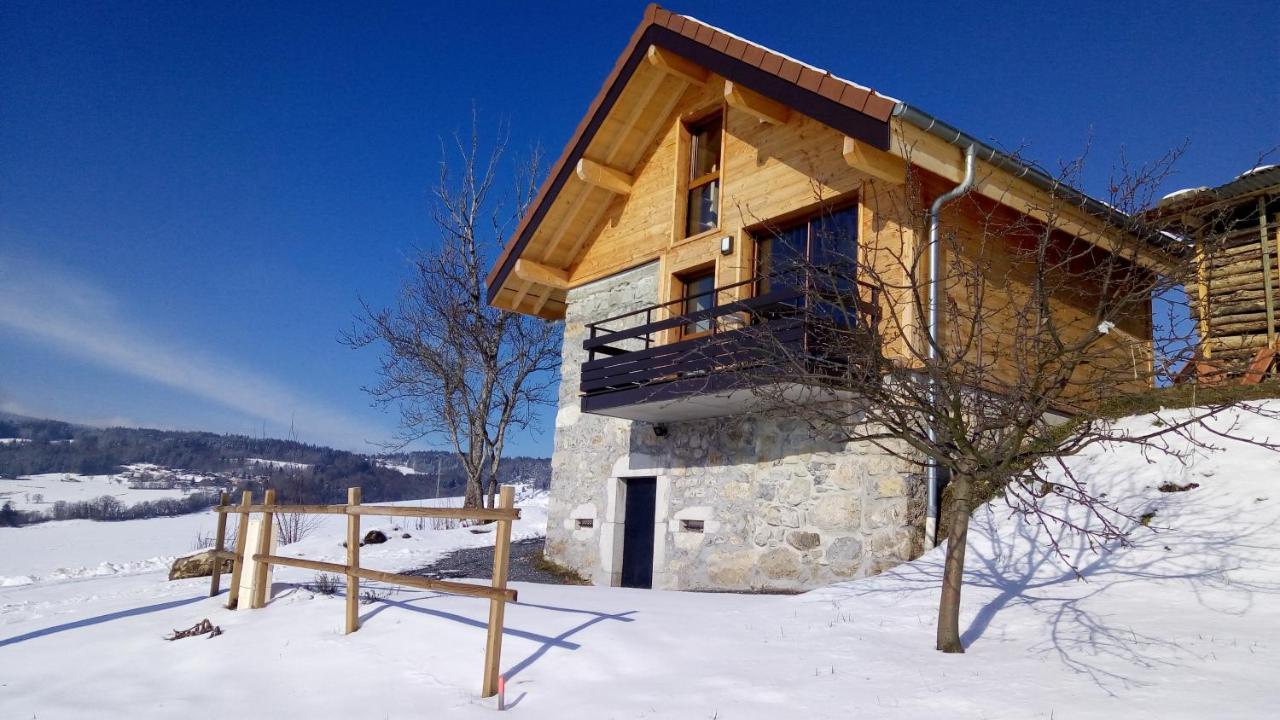 Le Chalet Des Pierres Viuz-en-Sallaz Buitenkant foto